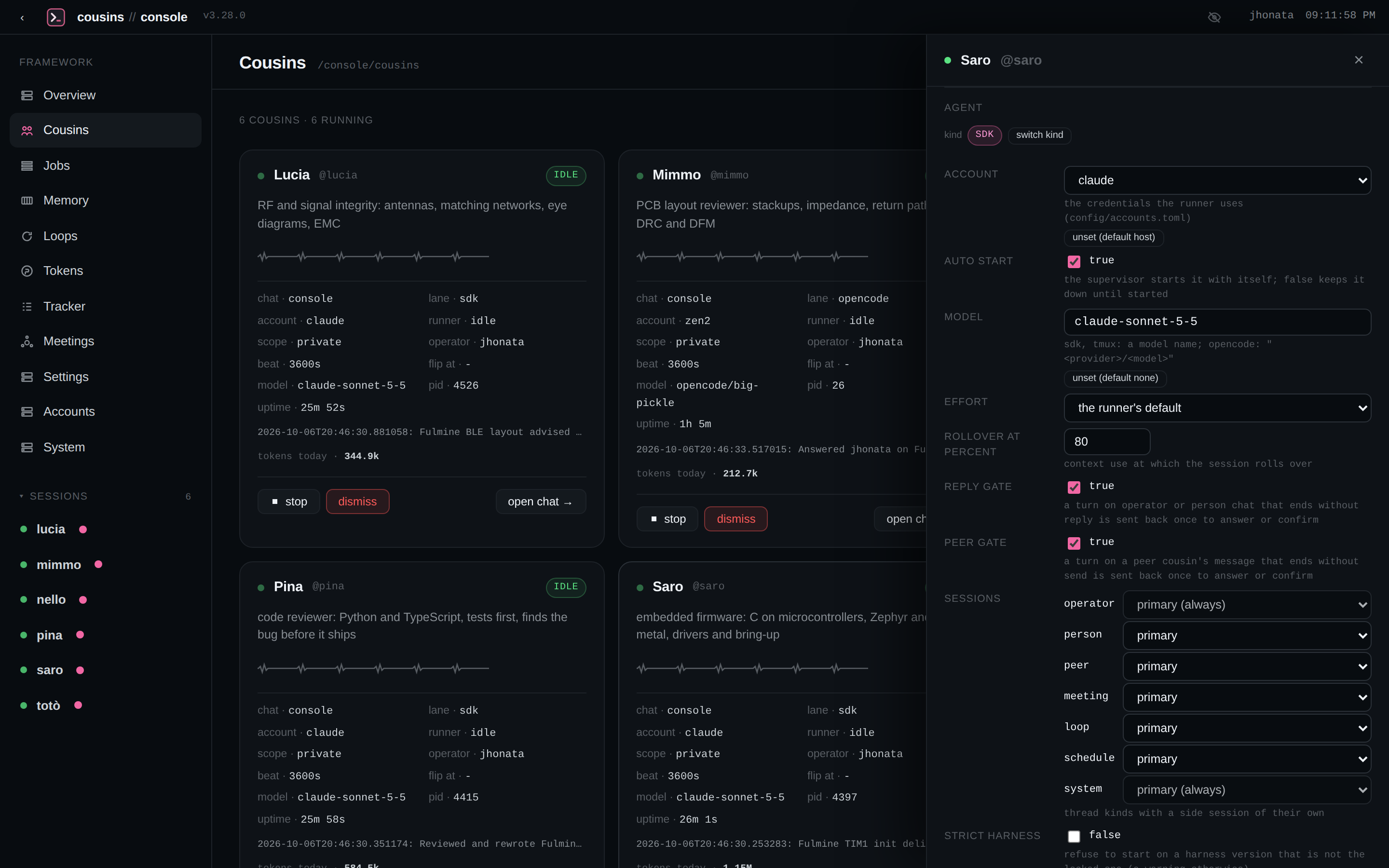A cousin’s agent settings in the console